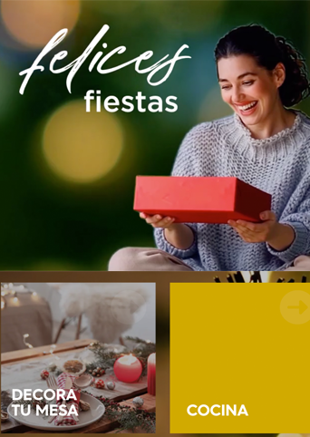 Feinpra calalogo navidad 25